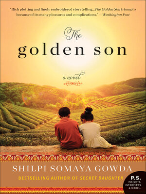 cover image of The Golden Son